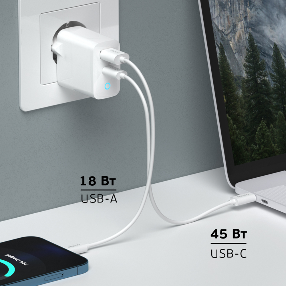 Сетевое зарядное устройство Deppa USB-A/USB-C, GaN, 65W, белый Сетевое зарядное устройство Deppa USB-A/USB-C, GaN, 65W, белый